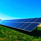 Solar panels within a field